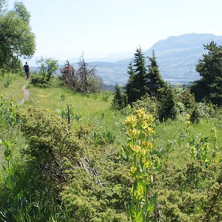 6 Pers Avec Spa, Terrasse Plein Sud A - Fr-1-393-22